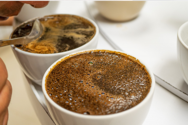Módulo 2: Cata del café