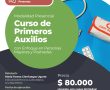 Curso de Primeros Auxilios con Enfoque en Personas Mayores y Postradas